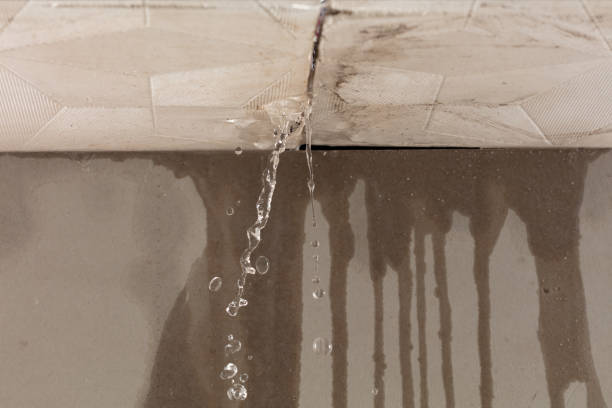 Professional Water Damage Inspection technician working in Silver Springs, FL
